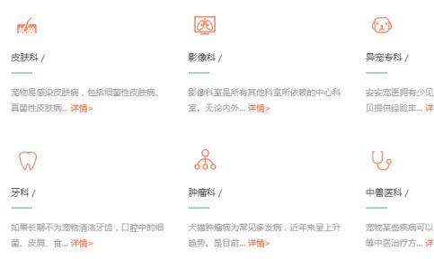 比较好的宠物医院如何选择|口碑好的宠物医院