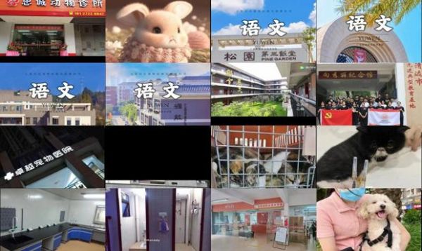 清远思诚动物医院
