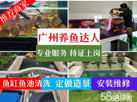 广州养鱼达人商贸有限公司·鱼缸清洗，换水，清洗鱼缸，专业清洗鱼缸，清理鱼池，鱼缸维修上门服务