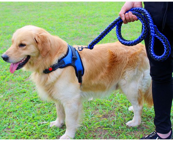 【三件套】憨憨宠 狗链狗绳狗狗牵引绳胸背带 狗链子 大型犬中型犬狗