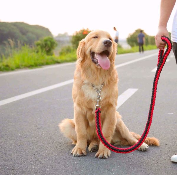 遛狗狗牵引绳栓狗绳子狗链子小型犬中型犬大型犬金毛土狗项圈结实