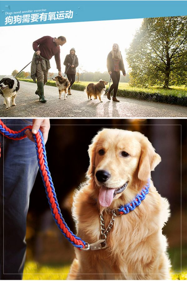 链八股款中型犬大型犬狗绳 狗狗牵引绳金毛萨摩拉布拉多狗链子牵狗绳