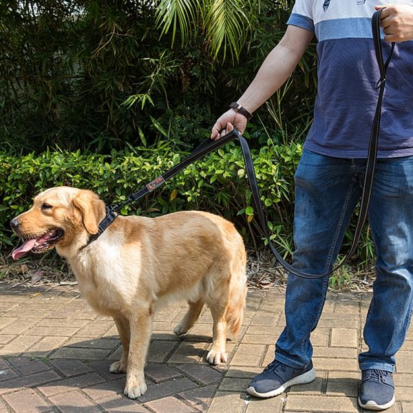 狗狗牵引绳大型犬狗绳狗链子遛狗宠物狗绳金毛项圈大型狗拉布拉多