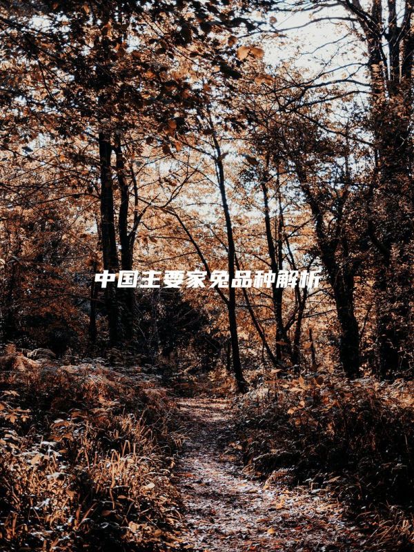 中国主要家兔品种解析
