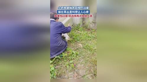 小奶狗被抛弃后惊吓过度 躲在草丛里叫得让人心疼 虽害怕过度 但选择再次相信人类