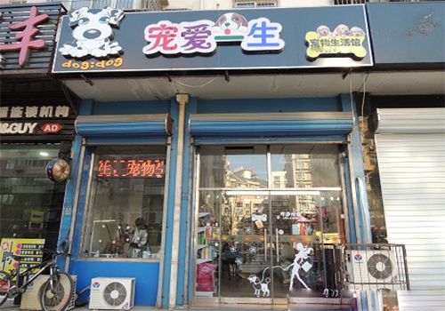 宠爱一生加盟店