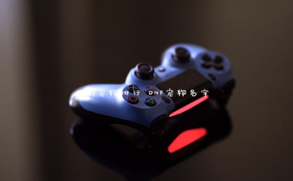 dnf宠物排行 DNF宠物名字
