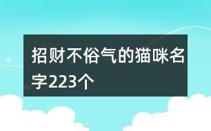 招财不俗气的猫咪名字223个