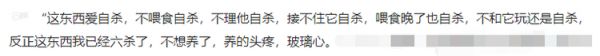 我不想自己住的地方变成凶宅