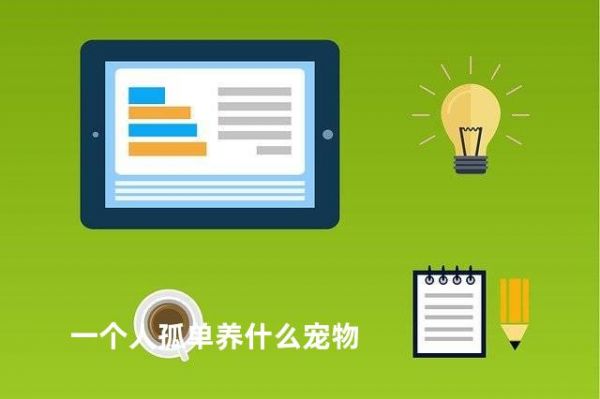 一个人孤单养什么宠物