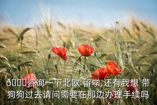 ?咨询一下北欧 留学,还有我想 带狗狗过去请问需要在那边办理手续吗