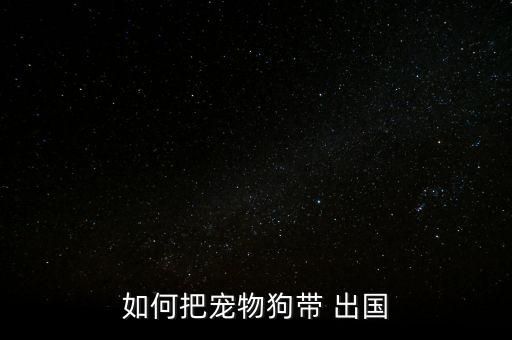 如何把宠物狗带 出国