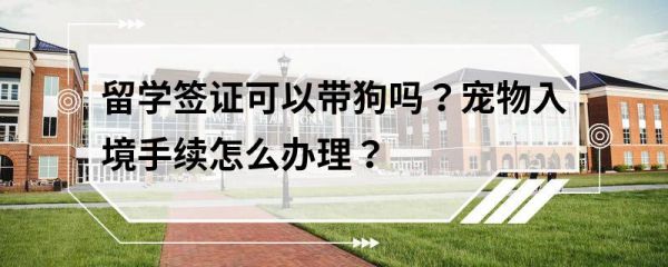留学签证可以带狗吗？宠物入境手续怎么办理？