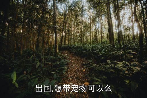 出国,想带宠物可以么