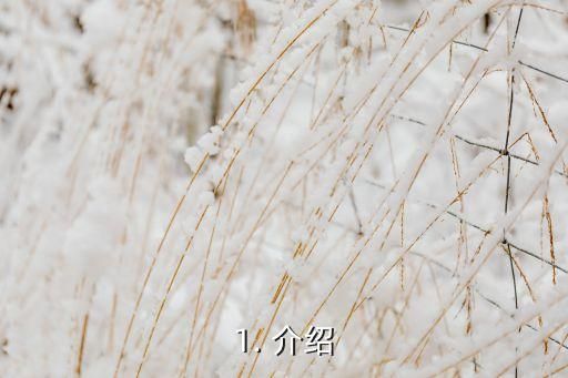1. 介绍