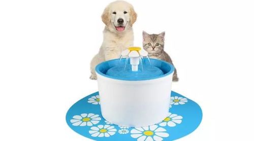 简易猫咪瀑布饮水机,宠物DIY新宠!