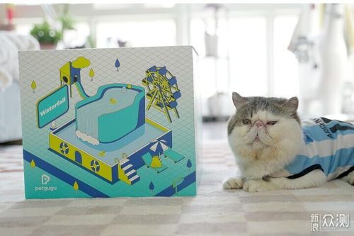 简易猫咪瀑布饮水机,宠物DIY新宠!
