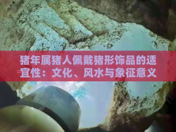 猪年属猪人佩戴猪形饰品的适宜性：文化、风水与象征意义探究