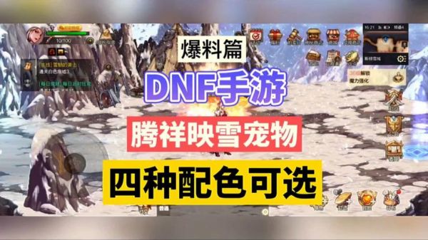 DNF宠物金毛球，冒险之旅的忠诚伙伴,dnf宠物金毛球
