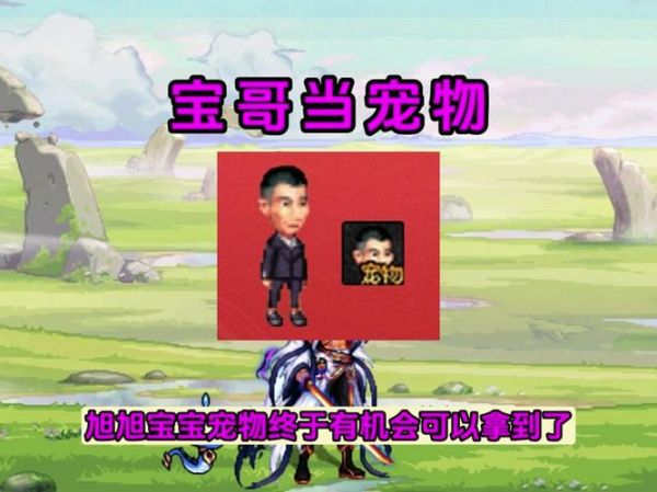DNF宠物金毛球，冒险之旅的忠诚伙伴,dnf宠物金毛球