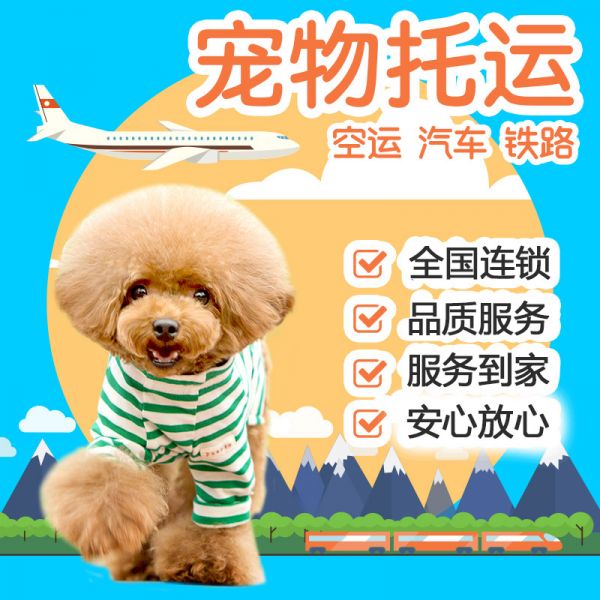 托运）丰台托运邮寄活体运输