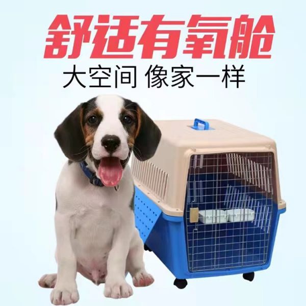 托运）丰台托运邮寄活体运输