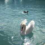 一枚小吃货