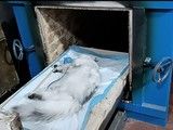 专业宠物火葬场 宠物去世一站式服务 服务无忧,细心专业