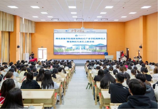 宠物 医疗 产业 学院