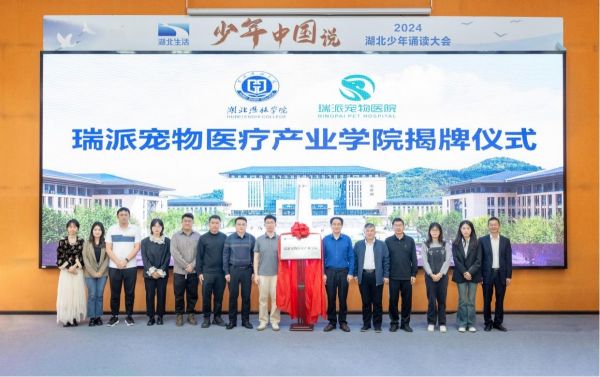 宠物 医疗 产业 学院