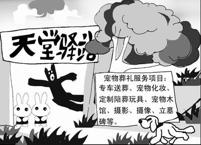 你的小狗需要“最后归宿”吗——透视逐渐兴起的成都宠物殡葬现象(组图)