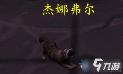 《魔兽世界》解谜宠物杰娜弗尔获取攻略
