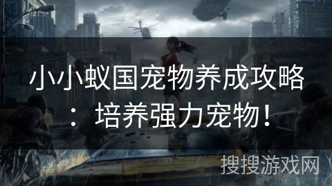 小小蚁国宠物养成攻略：培养强力宠物！