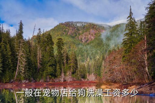 一般在宠物店给狗洗澡工资多少