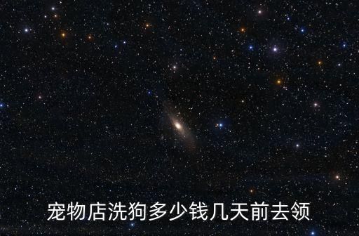 宠物店洗狗多少钱几天前去领