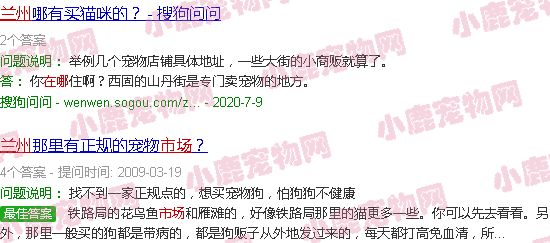 兰州宠物猫市场在哪里