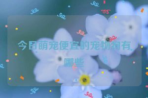 今日萌宠便宜的宠物狗有哪些
