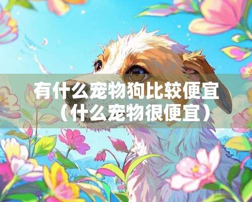 有什么宠物狗比较便宜（什么宠物很便宜）