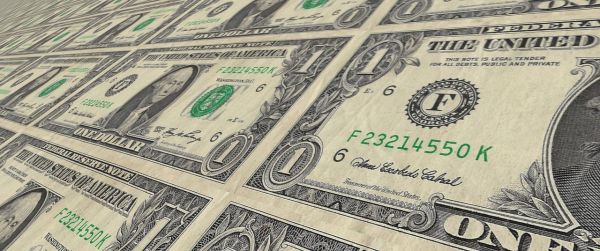 十大粘人的宠物2025最新排名前十名榜单出炉