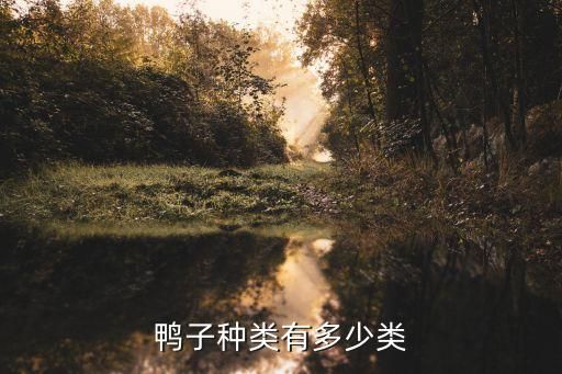 鸭子种类有多少类