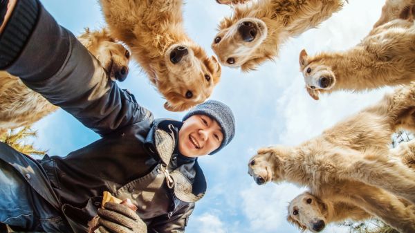 首届中国年度人与宠物诞生:宠物医生专攻疑难杂症 6年救治超5万猫狗