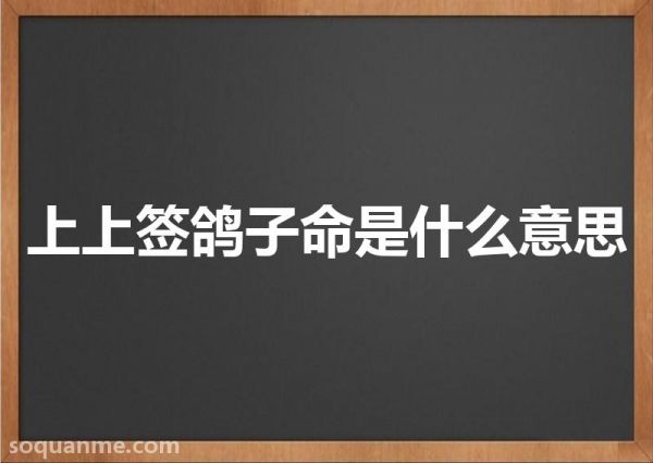 白鸽命是什么意思(上上签鸽子命是什么意思)