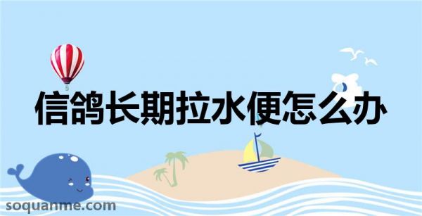 鸽子拉水便怎么治疗(信鸽长期拉水便怎么办)