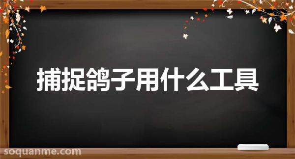 怎样捕抓鸽子(捕捉鸽子用什么工具)