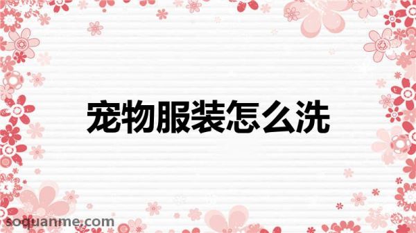 oz泰迪服怎么清洗(宠物服装怎么洗)