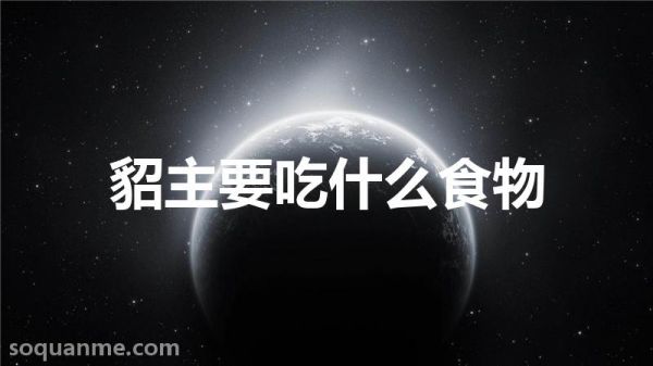 宠物貂的食物(貂主要吃什么食物)