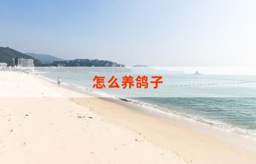 怎么养鸽子