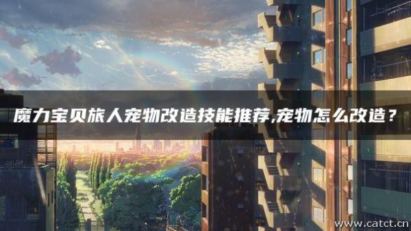 魔力宝贝旅人宠物改造技能推荐,宠物怎么改造？