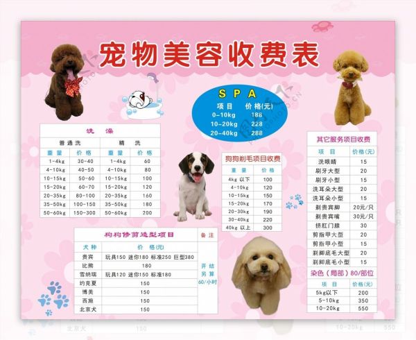 宠物广告牌