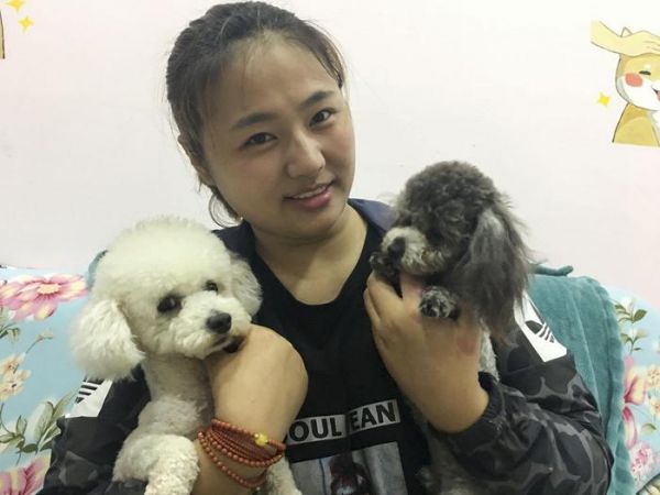 安徽90后女孩不爱红装爱猫狗 开宠物店月入万元